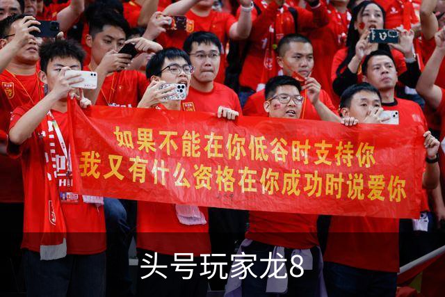 头号玩家龙8 公司简介